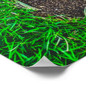 Fotografie met hoge hoek van het grasveld poster (Hoek)