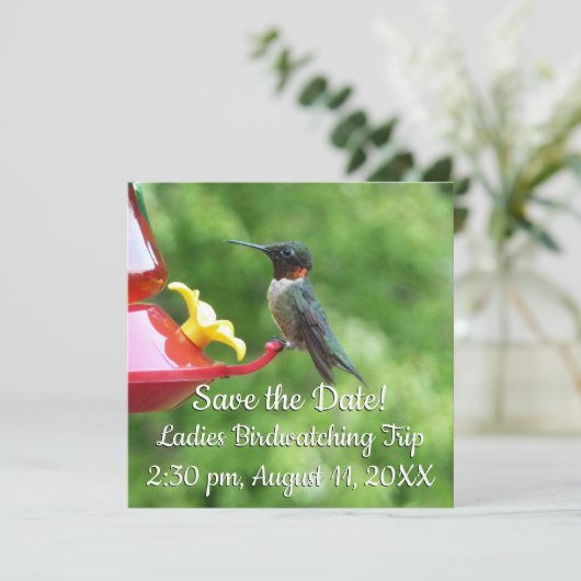 Fotografie met ruby-Throated Hummingbird (Staand voorkant)