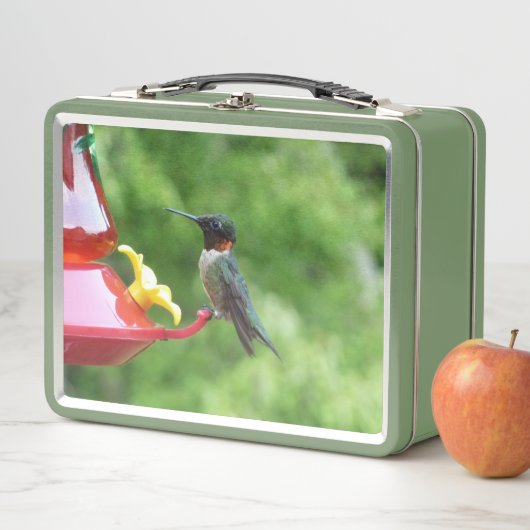 Fotografie met ruby-Throated Hummingbird (In situ)