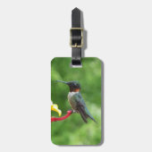 Fotografie met ruby-Throated Hummingbird Bagagelabel (Voorkant verticaal)
