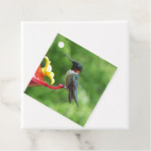 Fotografie met ruby-Throated Hummingbird Bedankjes Labels (In situ)