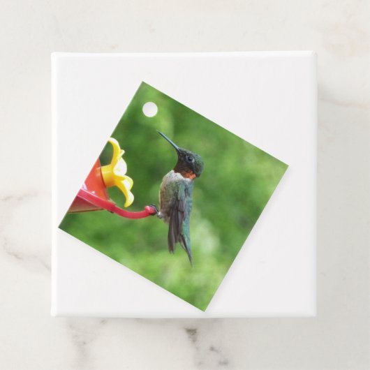Fotografie met ruby-Throated Hummingbird Bedankjes Labels (In situ)