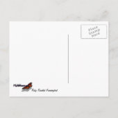 Fotografie met ruby-Throated Hummingbird Briefkaart (Achterkant)