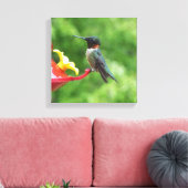 Fotografie met ruby-Throated Hummingbird Canvas Afdruk (Insitu (Woonkamer))