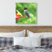 Fotografie met ruby-Throated Hummingbird Canvas Afdruk (Insitu (Slaapkamer))