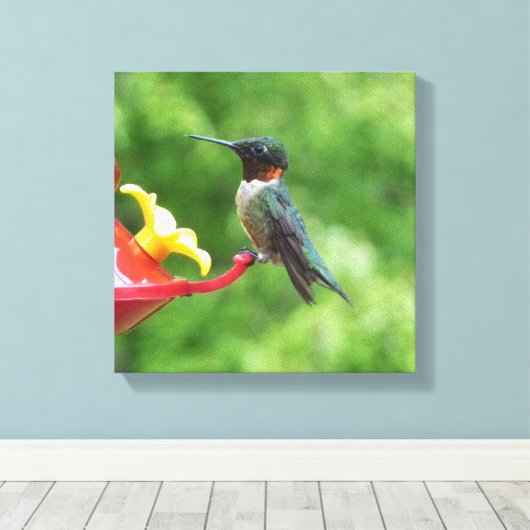 Fotografie met ruby-Throated Hummingbird Canvas Afdruk (Insitu (Houten vloer))