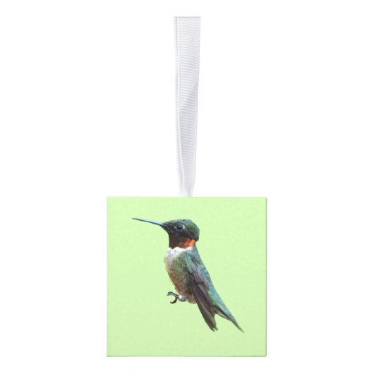 Fotografie met ruby-Throated Hummingbird Decoratie (Rechts)