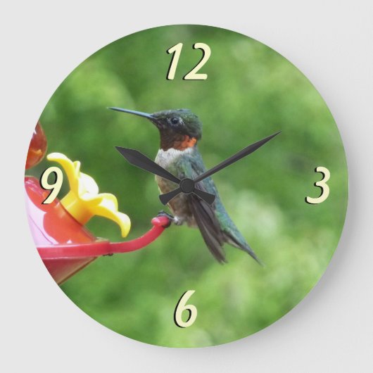 Fotografie met ruby-Throated Hummingbird Grote Klok (Voorkant)