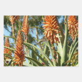 Fotografie met ruby-Throated Hummingbird Inpakpapier Vel (Voorkant 2)