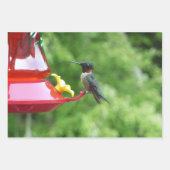Fotografie met ruby-Throated Hummingbird Inpakpapier Vel (Voorkant)
