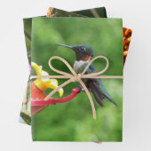Fotografie met ruby-Throated Hummingbird Inpakpapier Vel (In situ)