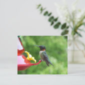 Fotografie met ruby-Throated Hummingbird Kaart (Staand voorkant)