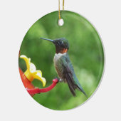 Fotografie met ruby-Throated Hummingbird Keramisch Ornament (Links)