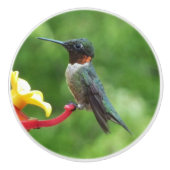 Fotografie met ruby-Throated Hummingbird Keramische Knop (Voorkant)