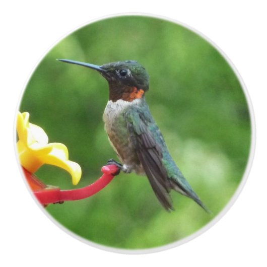 Fotografie met ruby-Throated Hummingbird Keramische Knop (Voorkant)