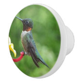 Fotografie met ruby-Throated Hummingbird Keramische Knop (Rechts)