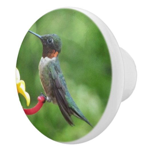 Fotografie met ruby-Throated Hummingbird Keramische Knop (Rechts)