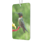 Fotografie met ruby-Throated Hummingbird Luchtverfrisser (Links)