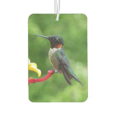 Fotografie met ruby-Throated Hummingbird Luchtverfrisser (Achterkant)
