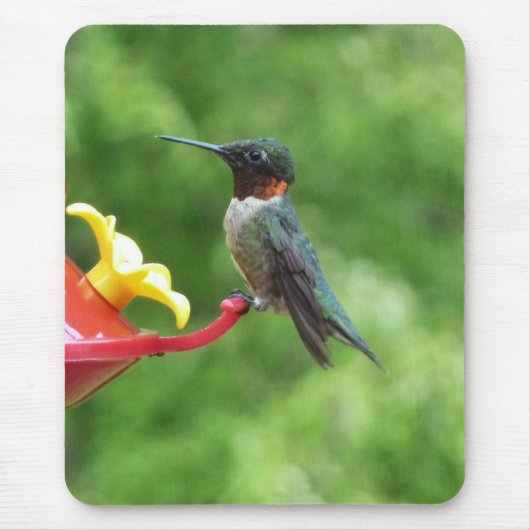 Fotografie met ruby-Throated Hummingbird Muismat (Voorkant)