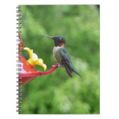 Fotografie met ruby-Throated Hummingbird Notitieboek (Voorkant)