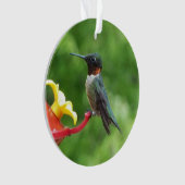 Fotografie met ruby-Throated Hummingbird Ornament (voorkant)
