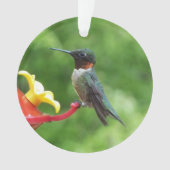 Fotografie met ruby-Throated Hummingbird Ornament (voorkant)