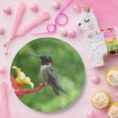 Fotografie met ruby-Throated Hummingbird Papieren Bordje (Feest)