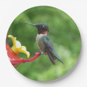 Fotografie met ruby-Throated Hummingbird Papieren Bordje (Voorkant)