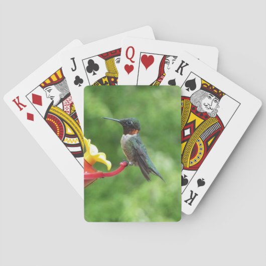 Fotografie met ruby-Throated Hummingbird Pokerkaarten (Achterkant)
