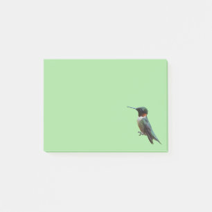 Fotografie met ruby-Throated Hummingbird Post-it® Notes