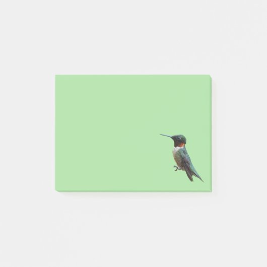Fotografie met ruby-Throated Hummingbird Post-it® Notes (Voorkant)