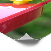 Fotografie met ruby-Throated Hummingbird Poster (Hoek)