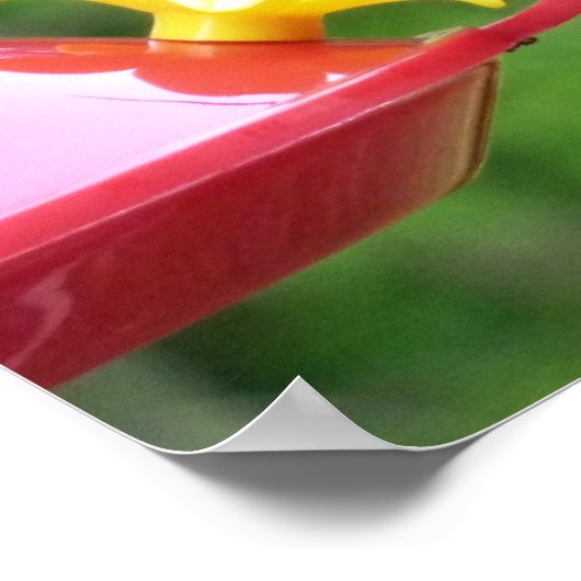 Fotografie met ruby-Throated Hummingbird Poster (Hoek)