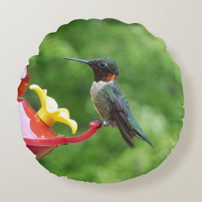Fotografie met ruby-Throated Hummingbird Rond Kussen (Voorkant)