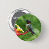 Fotografie met ruby-Throated Hummingbird Ronde Button 5,7 Cm (Voorkant /achterkant)