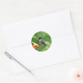 Fotografie met ruby-Throated Hummingbird Ronde Sticker (Envelop)