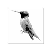 Fotografie met ruby-Throated Hummingbird Rubberstempel (Afrduk)