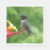 Fotografie met ruby-Throated Hummingbird Servetten (Voorkant)