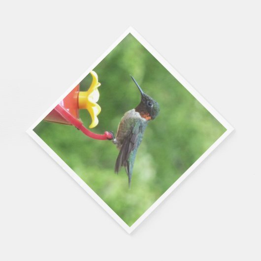Fotografie met ruby-Throated Hummingbird Servetten (Hoek)