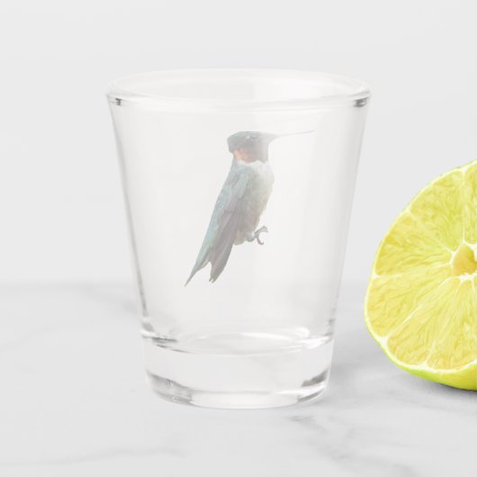 Fotografie met ruby-Throated Hummingbird Shot Glas (Achterkant)
