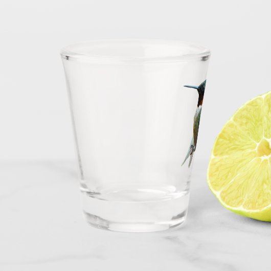 Fotografie met ruby-Throated Hummingbird Shot Glas (Links)