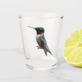 Fotografie met ruby-Throated Hummingbird Shot Glas (Voorkant)