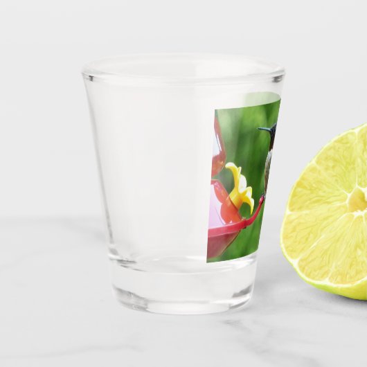 Fotografie met ruby-Throated Hummingbird Shot Glas (Links)