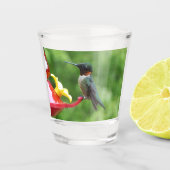 Fotografie met ruby-Throated Hummingbird Shot Glas (Voorkant)