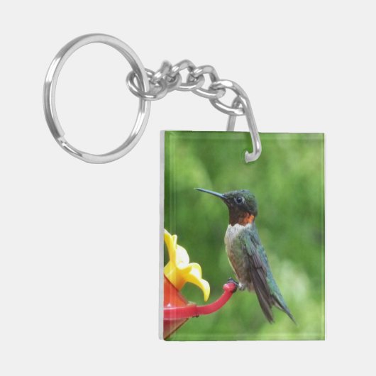 Fotografie met ruby-Throated Hummingbird Sleutelhanger (Voorkant Links)