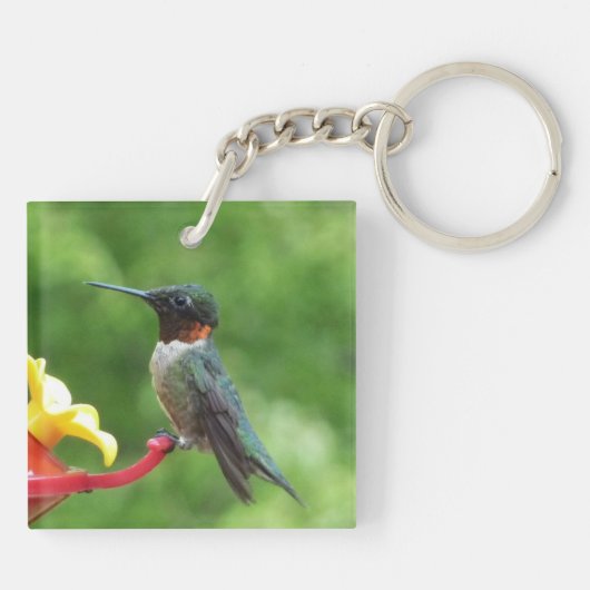 Fotografie met ruby-Throated Hummingbird Sleutelhanger (Achterkant)