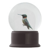 Fotografie met ruby-Throated Hummingbird Sneeuwbol (Achterkant)