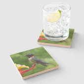 Fotografie met ruby-Throated Hummingbird Stenen Onderzetter (Zijkant)