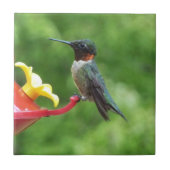 Fotografie met ruby-Throated Hummingbird Tegeltje (Voorkant)